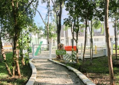 Pet Park Almazara Residencial